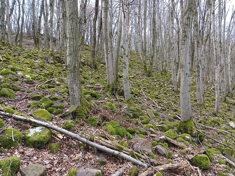 Börzsönyi Várak,
