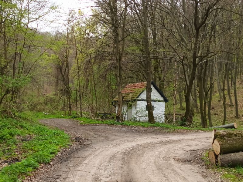 Kunyhó