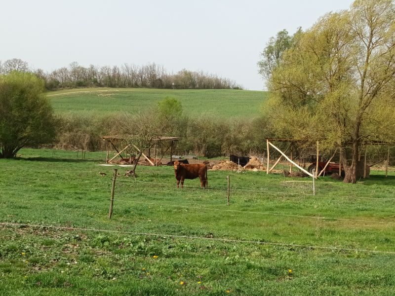 Mecsér-telep előtt