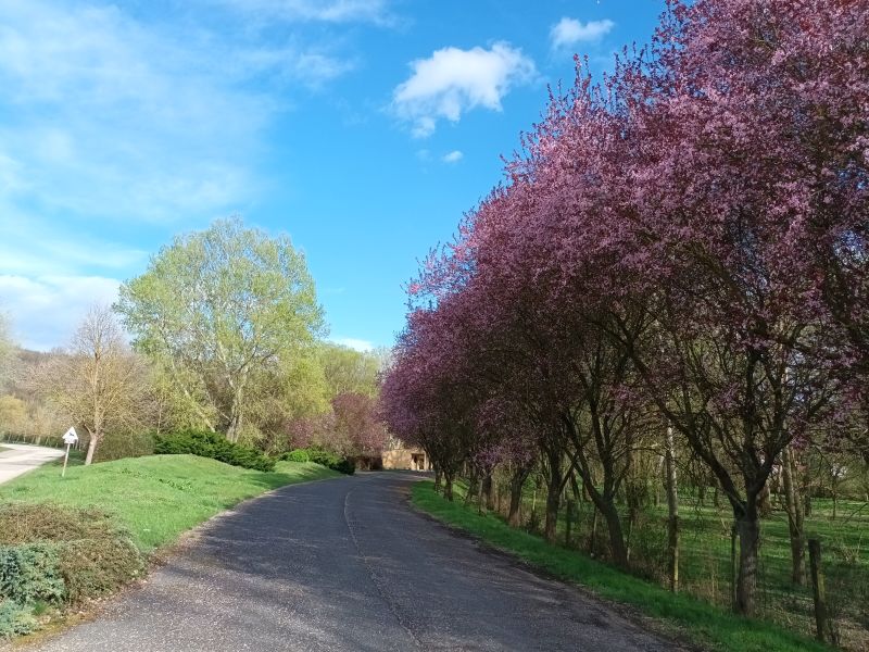 Nagyegyháza