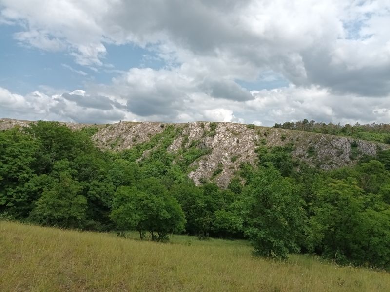 Száraz-horog
