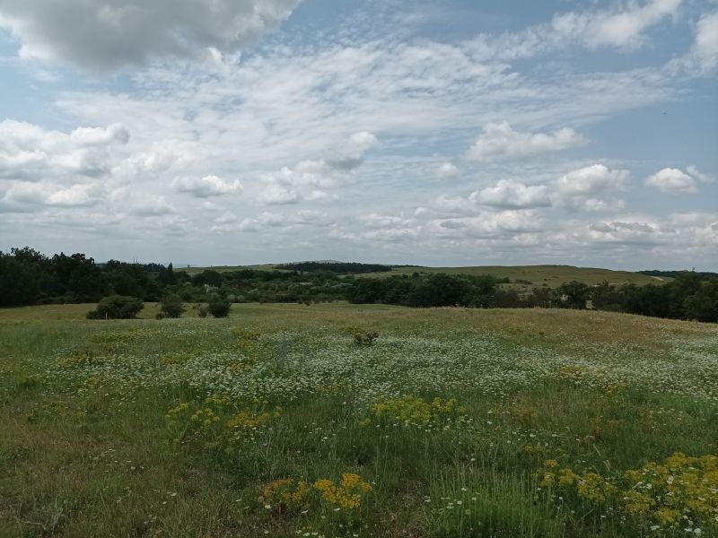 Várpalota a távolban