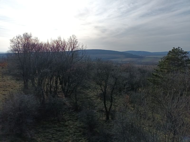 Kilátás a Csengő-hegyi kilátóból