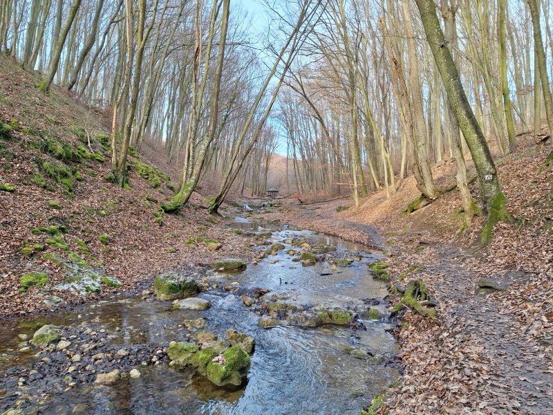 Római fürdő