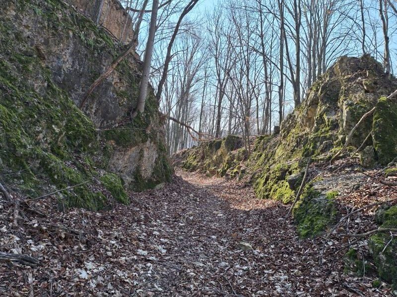 Kisvasút nyomvonal
