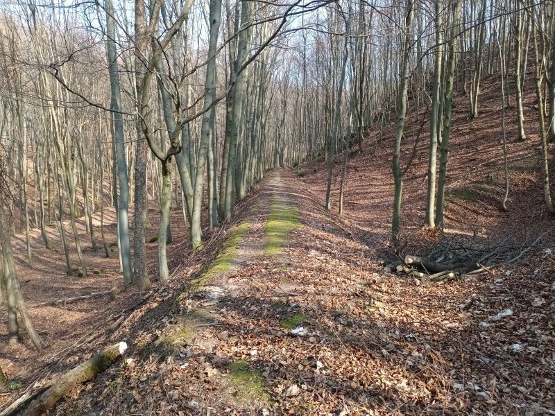 Kisvasút nyomvonal