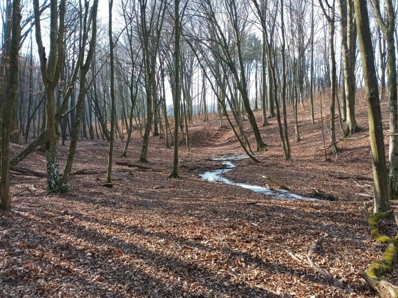 Fagyott patak