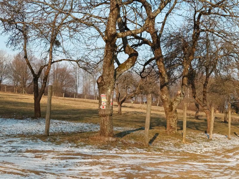 Jelzések az Augusztin-tanyánál