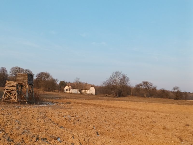 Némettanya