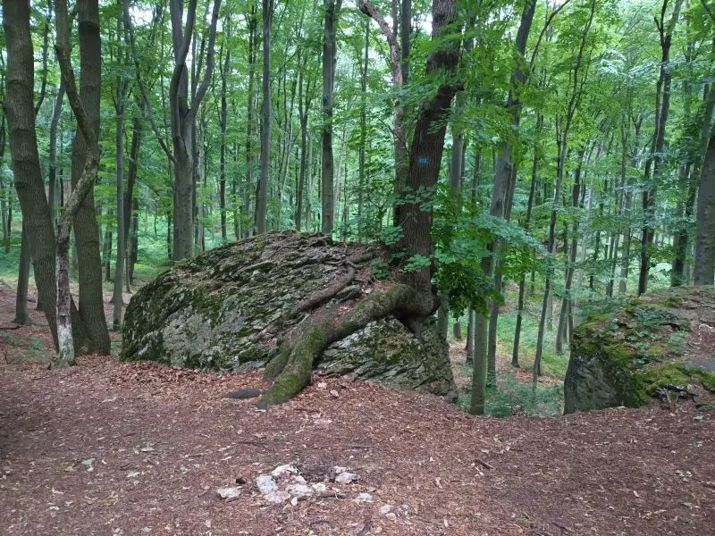 Likas-kő