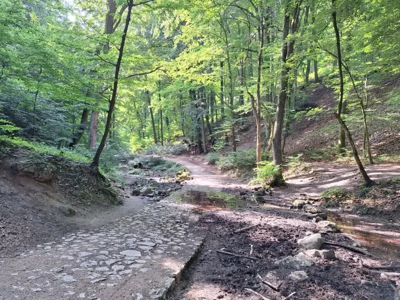 Patak átkelés