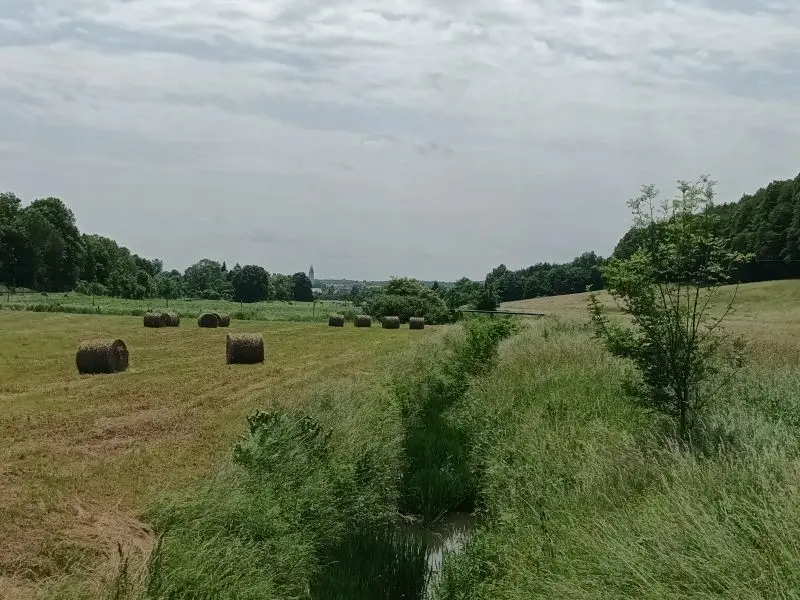Távolban a Zirci Apátság