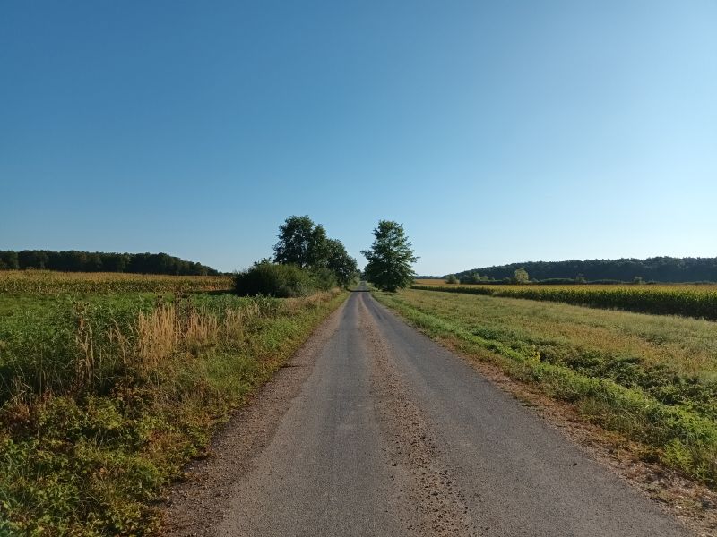 Alsószenterzsébet felé