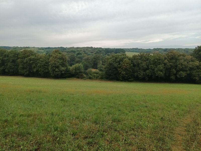 Látkép