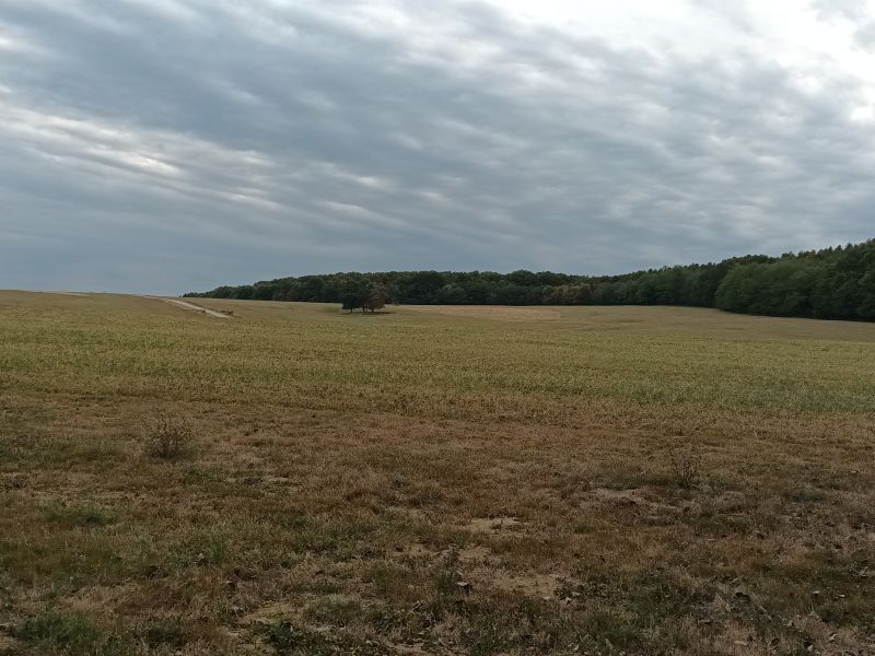 Látkép