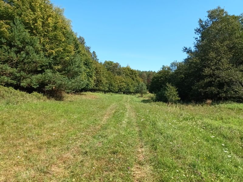 Pusztaszentpéter